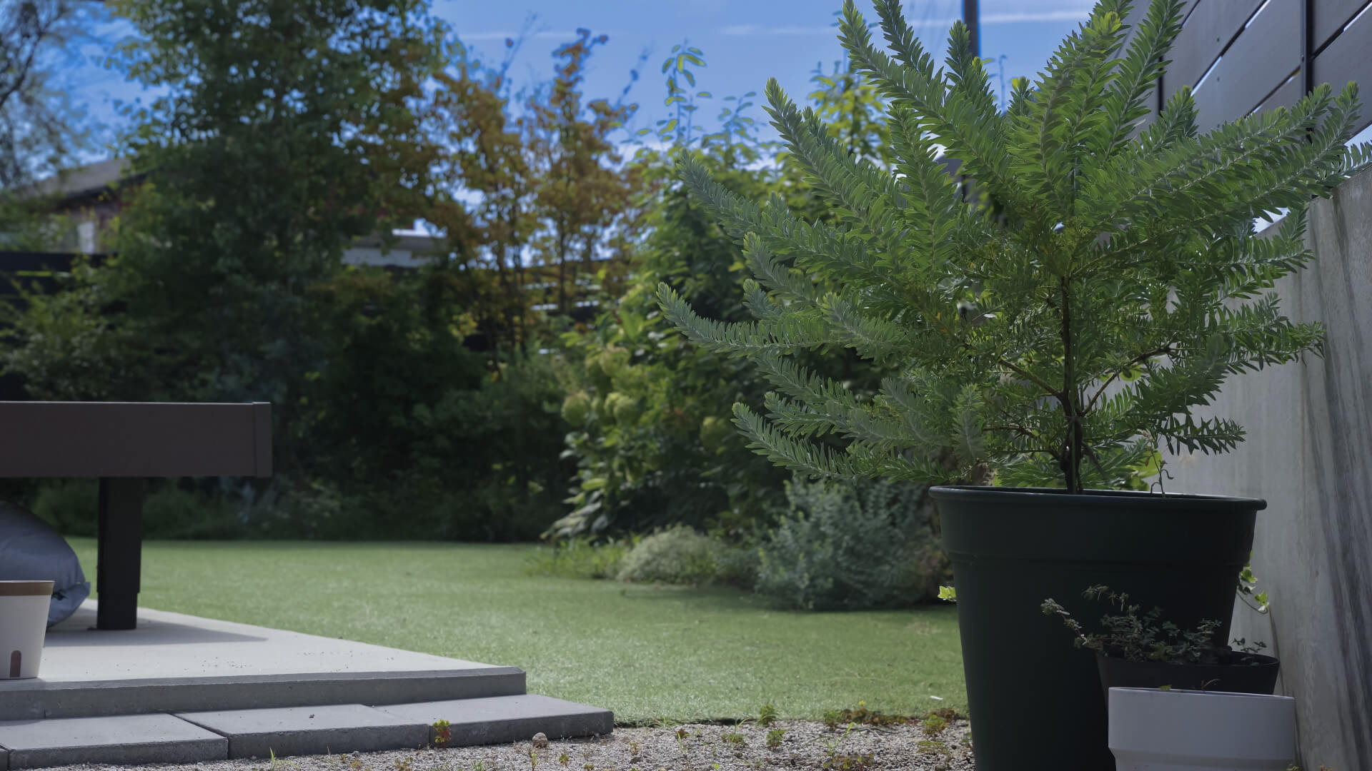 緑あふれる庭と植木鉢のある外構スペース